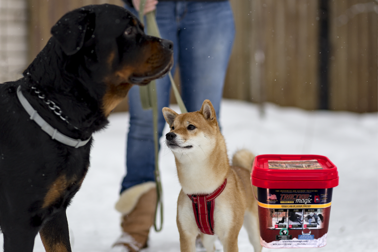 ice melt safe for concrete and pets
