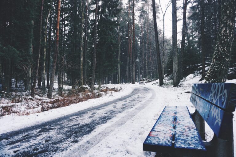 Comprehensive Guide to Understanding Black Ice.