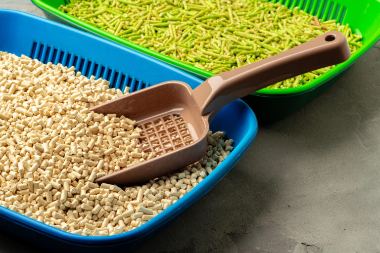 crystallized-cat-litter