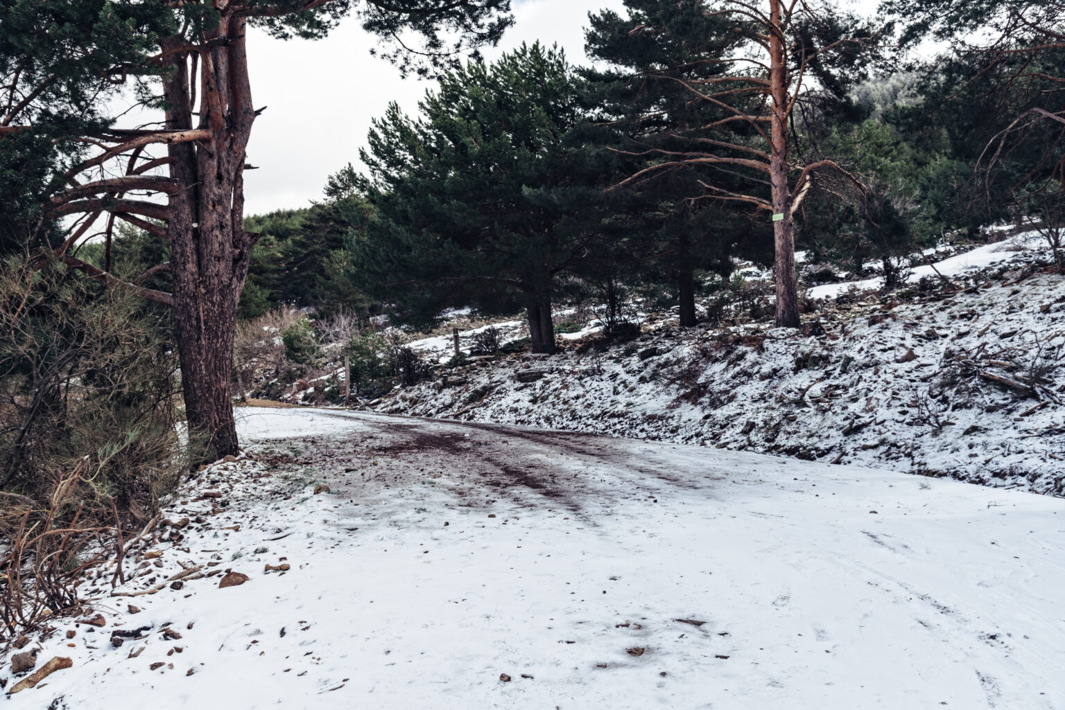 5 Effective Salt Alternatives for Road Safety in Winter